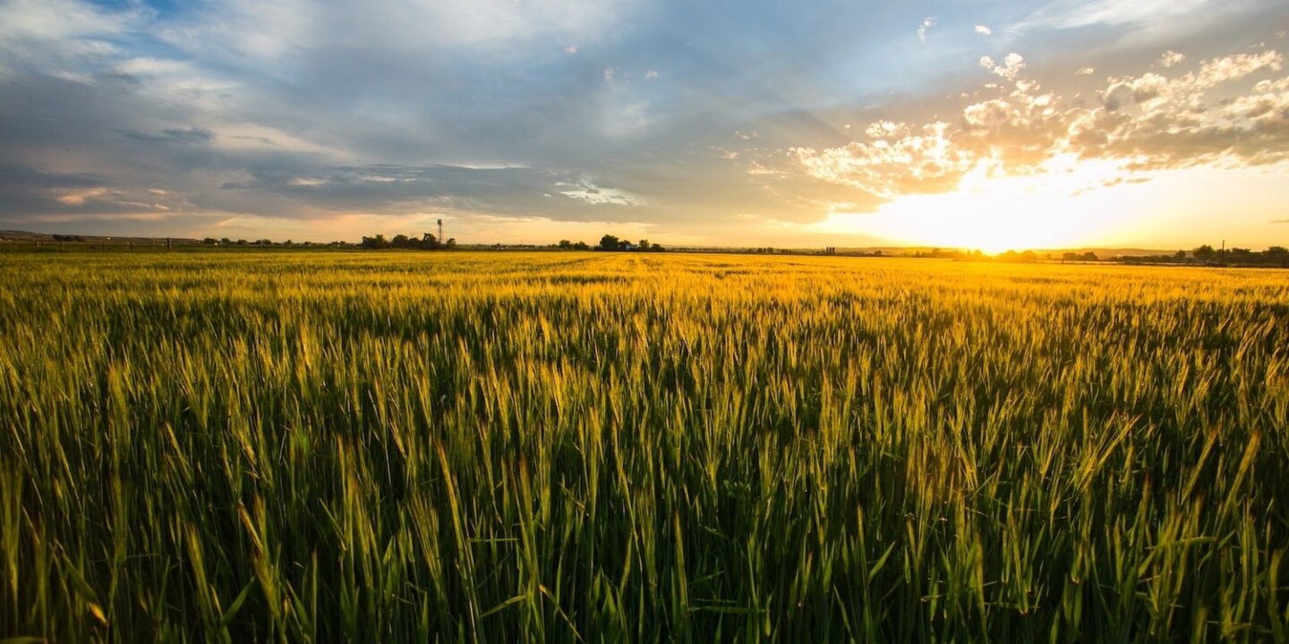 Sustainable food agri innovation