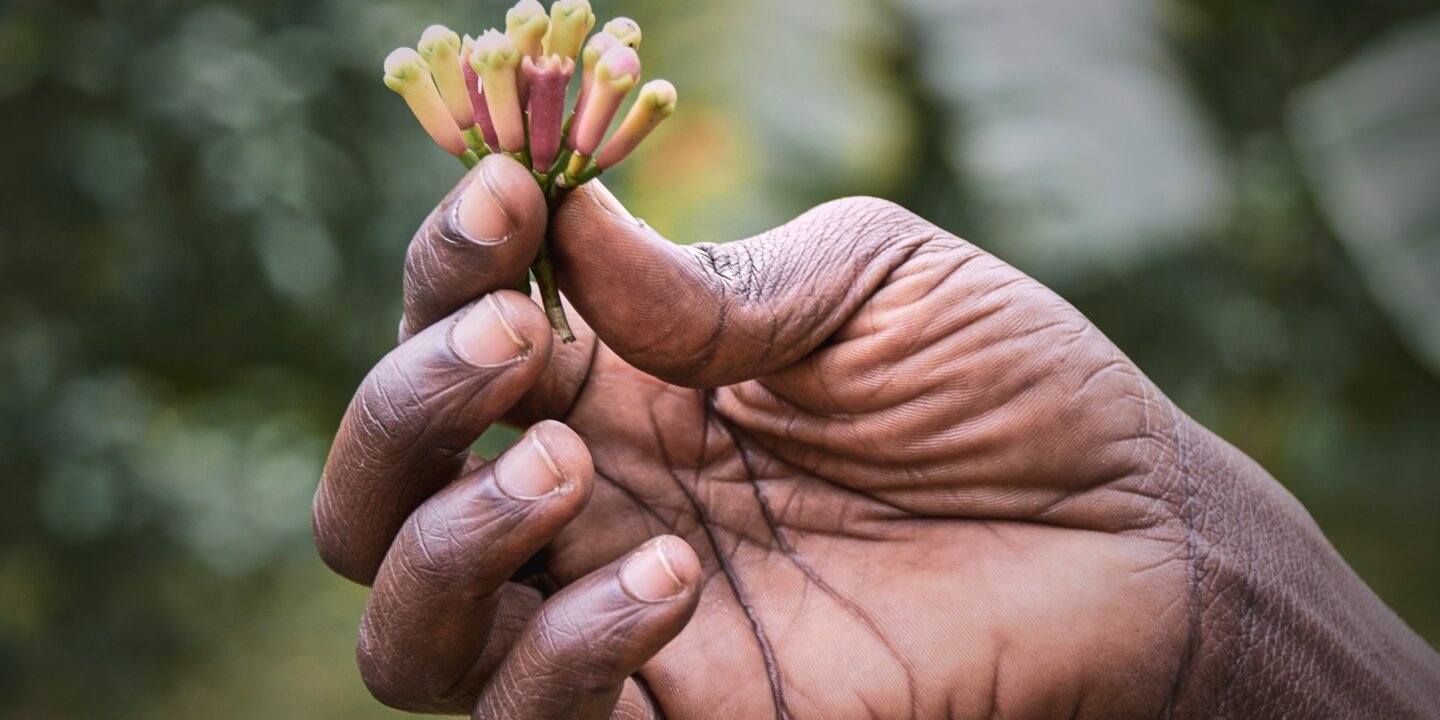 T eszter u Gtmpob Kw3 Y unsplash