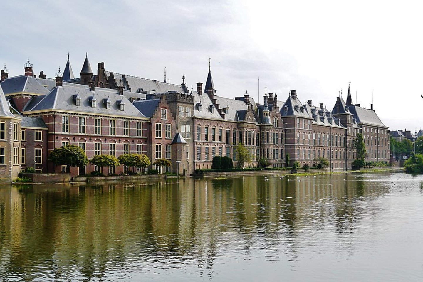 Engagement in Dutch food policy