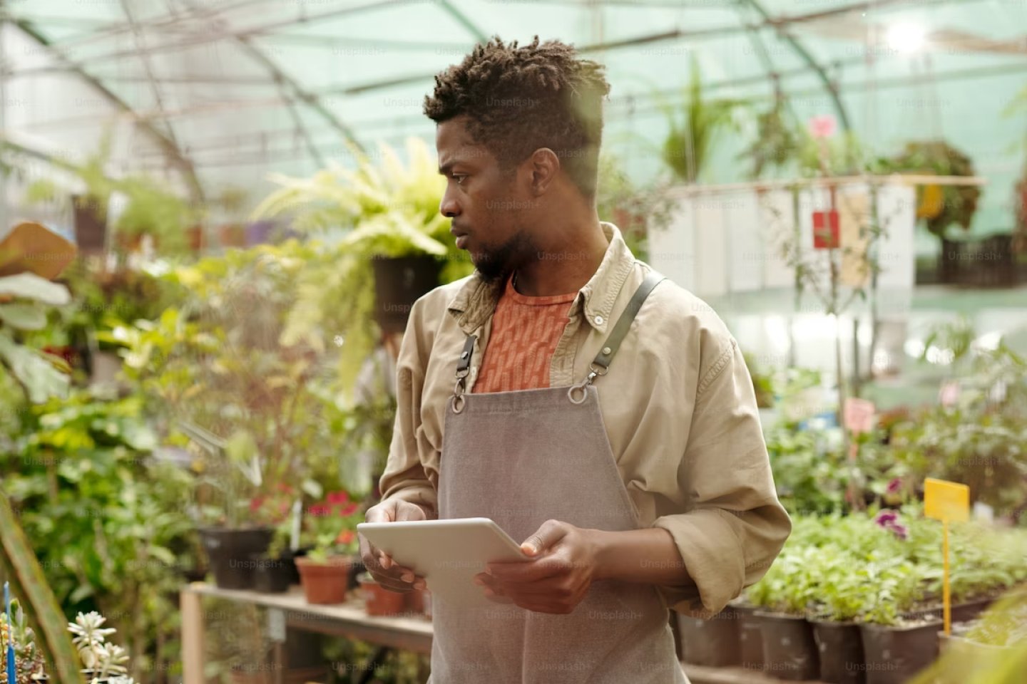 Coalition on smallholder farmers digital ecosystems