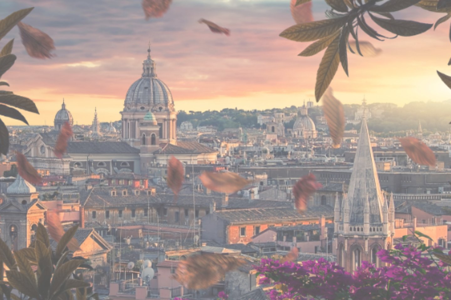 Dialogues and Partnerships with FAO, IFAD, WFP and CGIAR