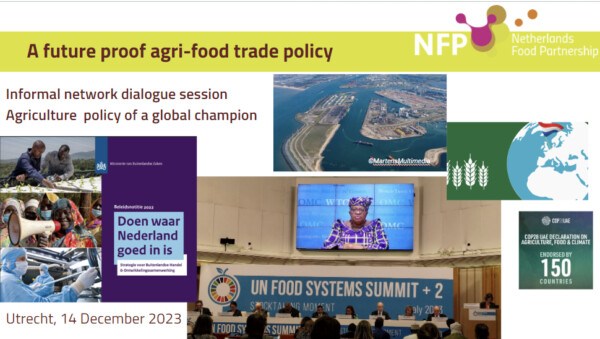 Screenshot 2024 01 24 162550