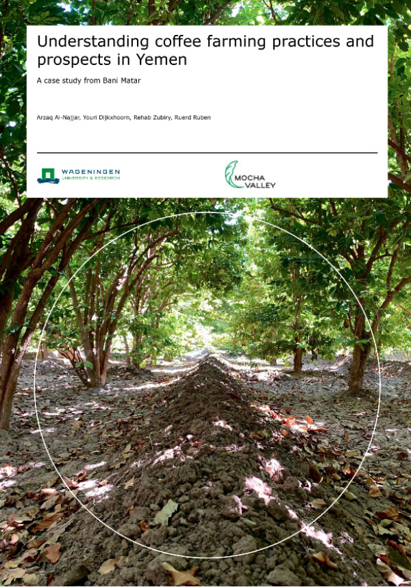 Understanding coffee farming practices and prospects in Yemen