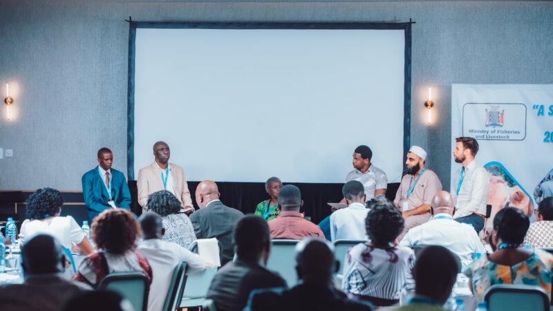 Zambia Dairy Transformation Programme (ZDTP)