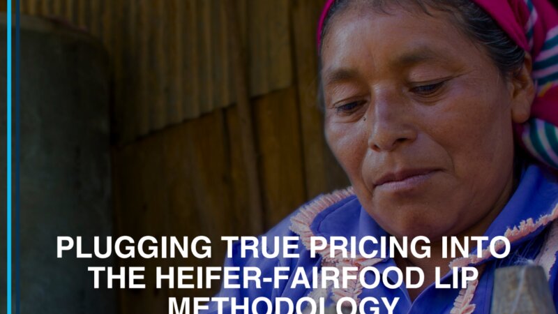 Fairfood receives the 2nd NFP true pricing seed fund grant