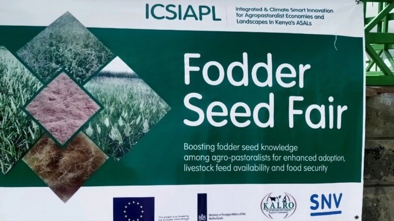 Getting the Incentives right-market development: Feed and Forage Seeds