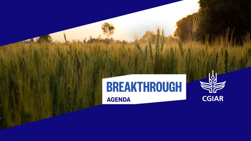2024 Breakthrough Agenda Report - Agriculture