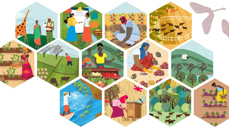 Food & Biodiversity in Action: learning from 10 journeys to sustainable futures