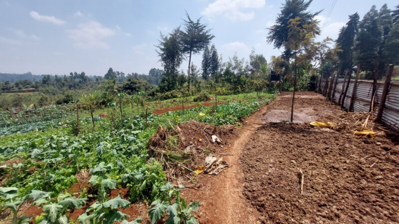 NEADAP’s strategy to improve manure management in East African dairy farming systems