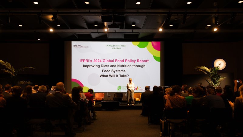Event Report: Improving diets and Nutrition through Food Systems - What Will It Take?