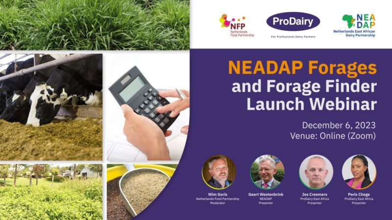 NEADAP Webinar on forages in Dairy 2023