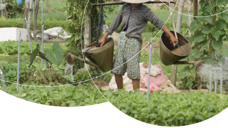 17 Dutch experts contribute to One CGIAR by sharing views in seven two-pagers