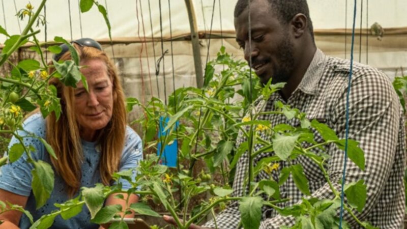 New Foreign Trade and Development Cooperation policy submitted to Dutch Parliament Identifies Global Food Security as Key Priority