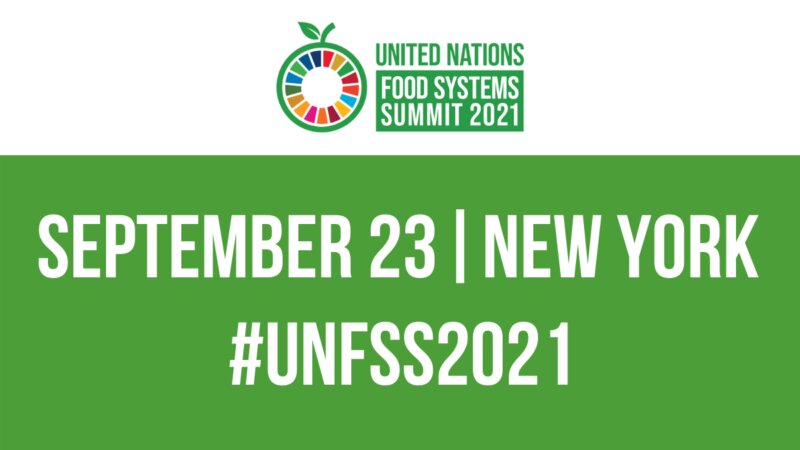 Outcomes from the UN Food Systems Summit