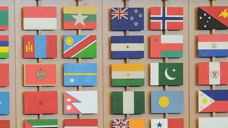 Driving Change in Global Food Systems: enhancing the role of Dutch food stakeholders in the Rome-based processes