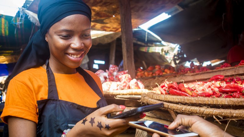 Rapid assessment of digital ecosystems in Zambia and Kenya