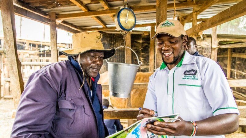 NEADAP lessons learned