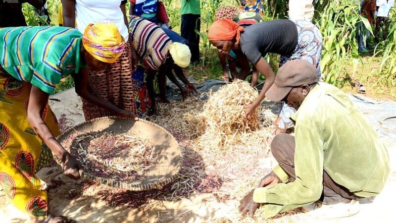 Food Systems at COP29