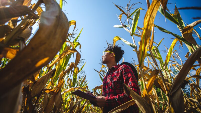 Senior Expert Case | Two Experts Shared Vision on Integrated Food Systems Transformation