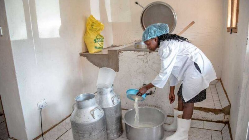 Inclusive Dairy Business Models in East Africa