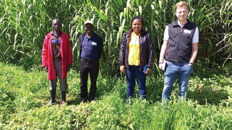 Practical Training for Sustainable Dairy Value Chain in Eastern Africa
