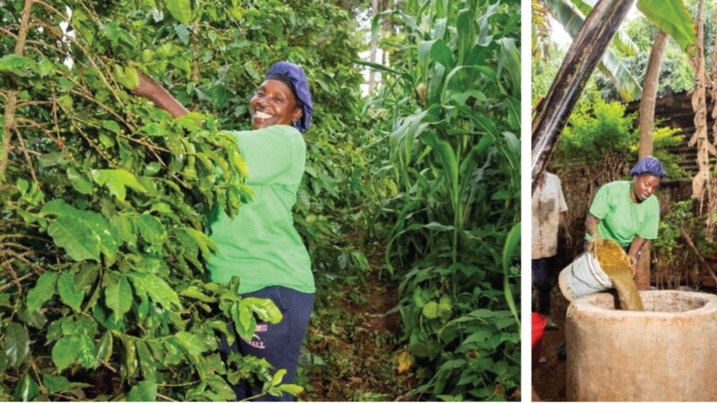 Revolutionizing Energy and Agriculture: The African Biodigester Component Project in Kenya