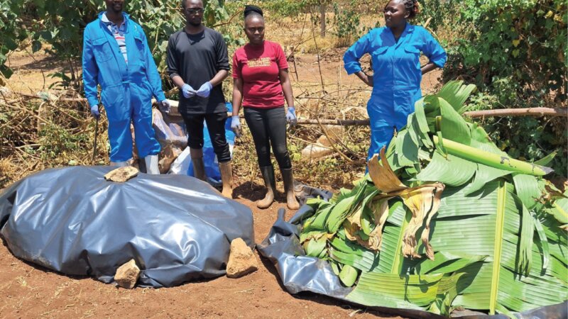 Turning Waste into an Asset: Manure Management for Sustainable Dairy Farming