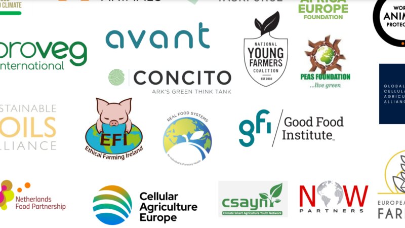 Open Letter from 80+ organizations to accelerate food systems transformation within UNFCCC
