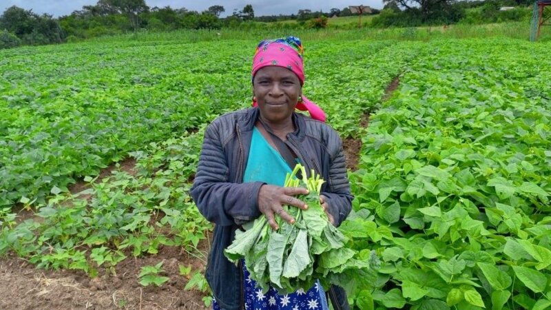 A gendered power shift for just and equitable food systems