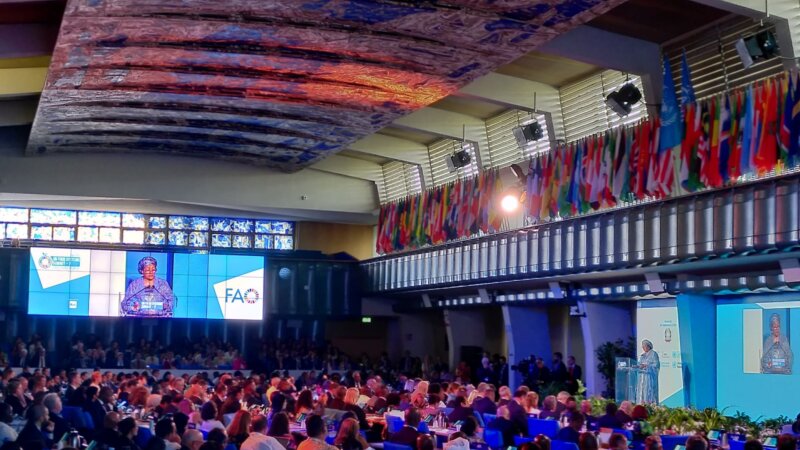 Stocktaking Moment 2023: Transforming Food Systems Requires All Hands on Deck