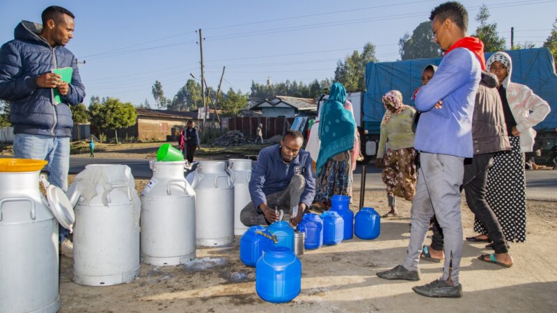 Building Rural Income through Inclusive Dairy Business Growth in Ethiopia (BRIDGE+)