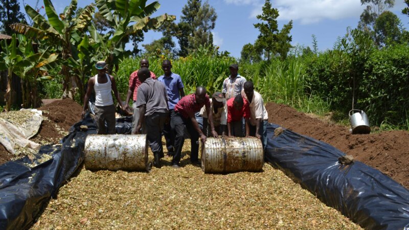 Silage: A Solution to Feed Shortage for Ethiopian Farmers