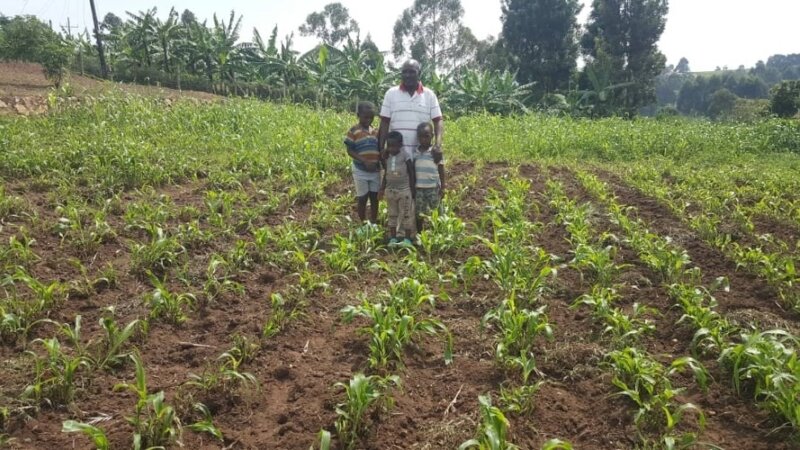 ISDAP Farmers Thrive with Improved Forage Seeds from Advanta