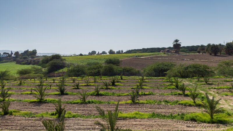 Regenerative farming and digital tools for salinity control in Egypt, Iraq, and Jordan