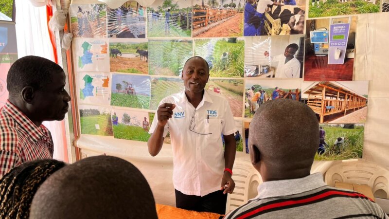 A glimpse into NEADAP's transformative activities in ugandan dairy sector