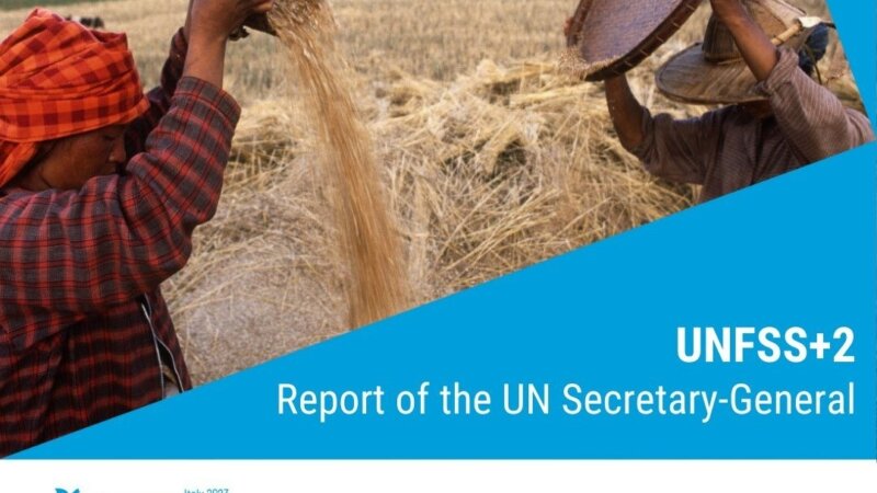 Progress on Food Systems Transformation since the UN Food Systems Summit