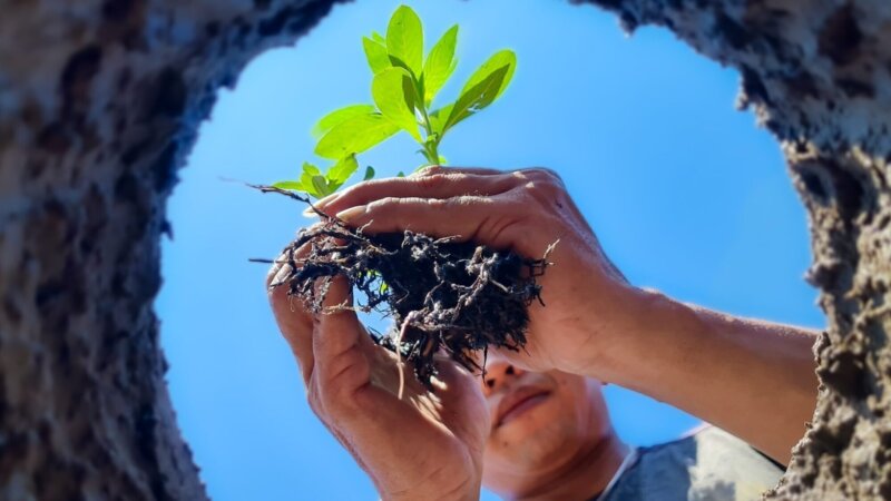 Network Event Report: CGIAR Scaling for Impact Program