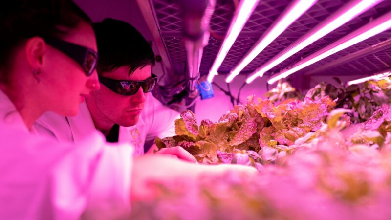 Spotlight on CGIAR's 2025 - 2030 Research Portfolio