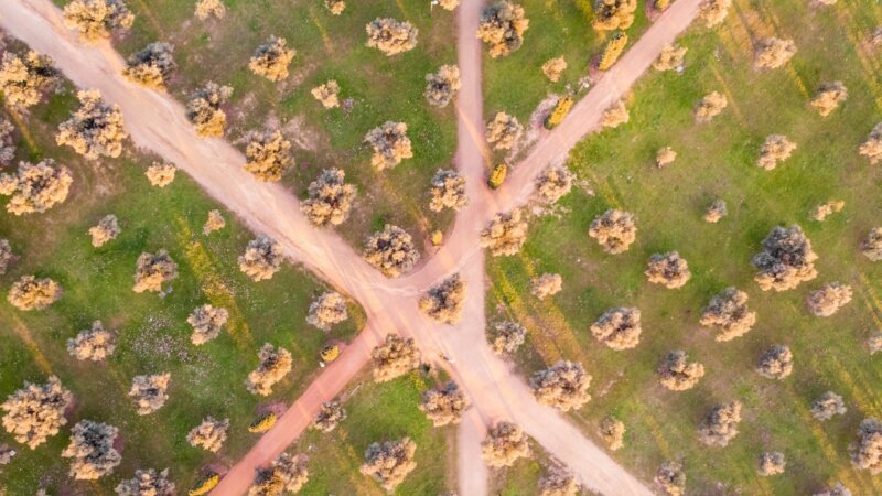 Reports out: Food systems resilience pathways for Western Bahr el Ghazal and Eastern Equatoria states, South Sudan