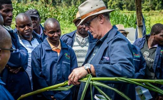 Dairy paper online PUM