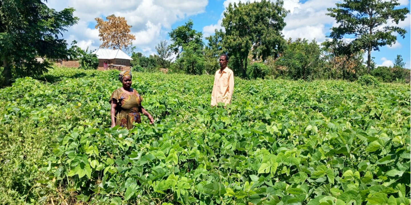 Maziba and Veronica farm