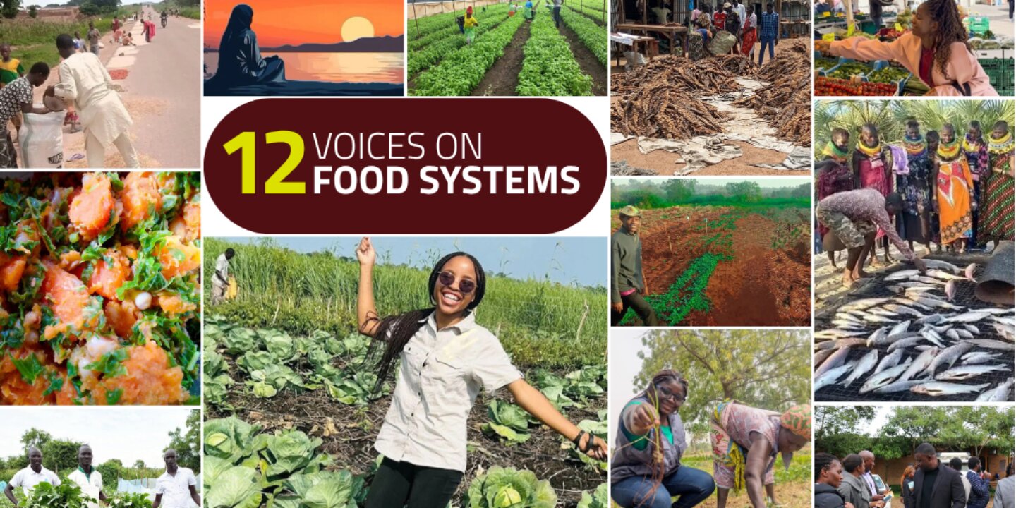 Twelve Voices 2025 blogs