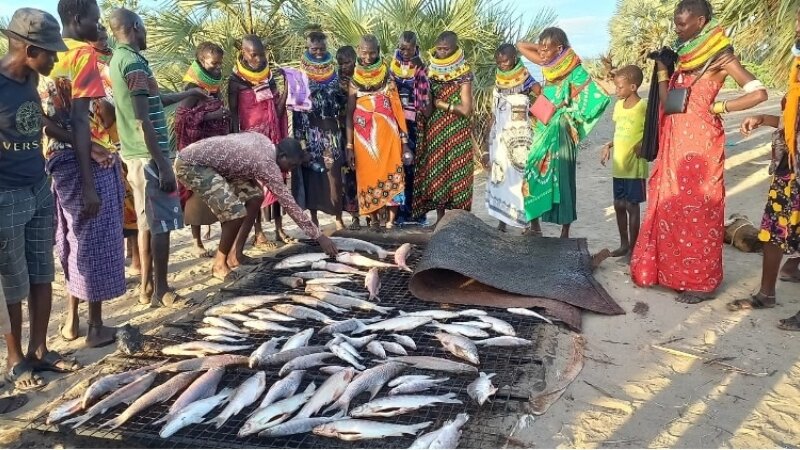 Kenya’s Food Insecurity: The Disconnect Between Knowledge, Governance, and Practice