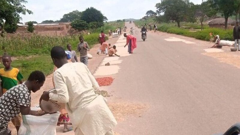 Hidden in Plain Sight: The Overlooked Grain Dryers Feeding a Nation