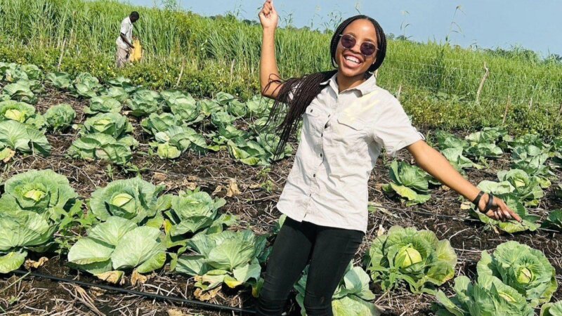 Small Shifts, Big Ripples: Food Systems Transformation from the Ground Up