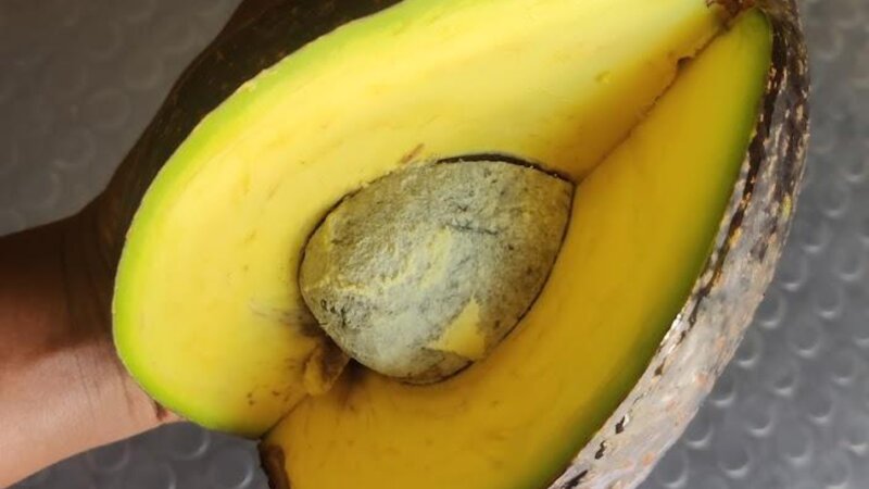 “Thought for Food”: It all starts in the mind!