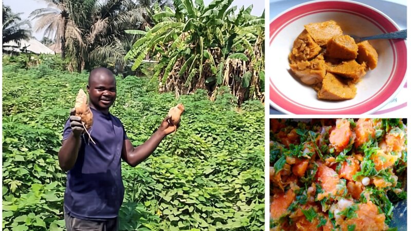 Orange-Fleshed Sweet Potato: Battling Malnutrition with Smarter Food
