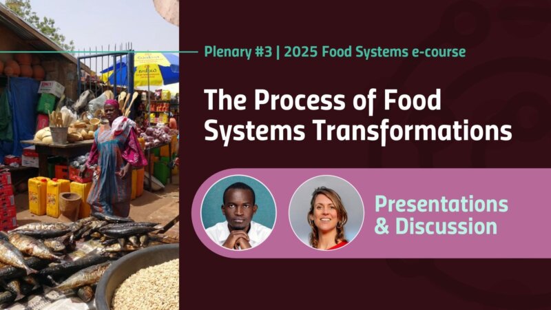 The process of food systems transformation (Plenary Video)