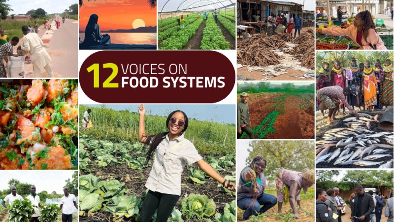 Twelve Voices: Reflections on Growing Better Food Systems
