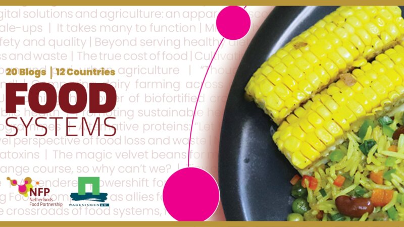 Unveiling Perspectives: The Inspiring Journey Through Food Systems Blogging